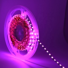 Taśma LED S-type 12v 6mm 1 metr RÓŻOWA